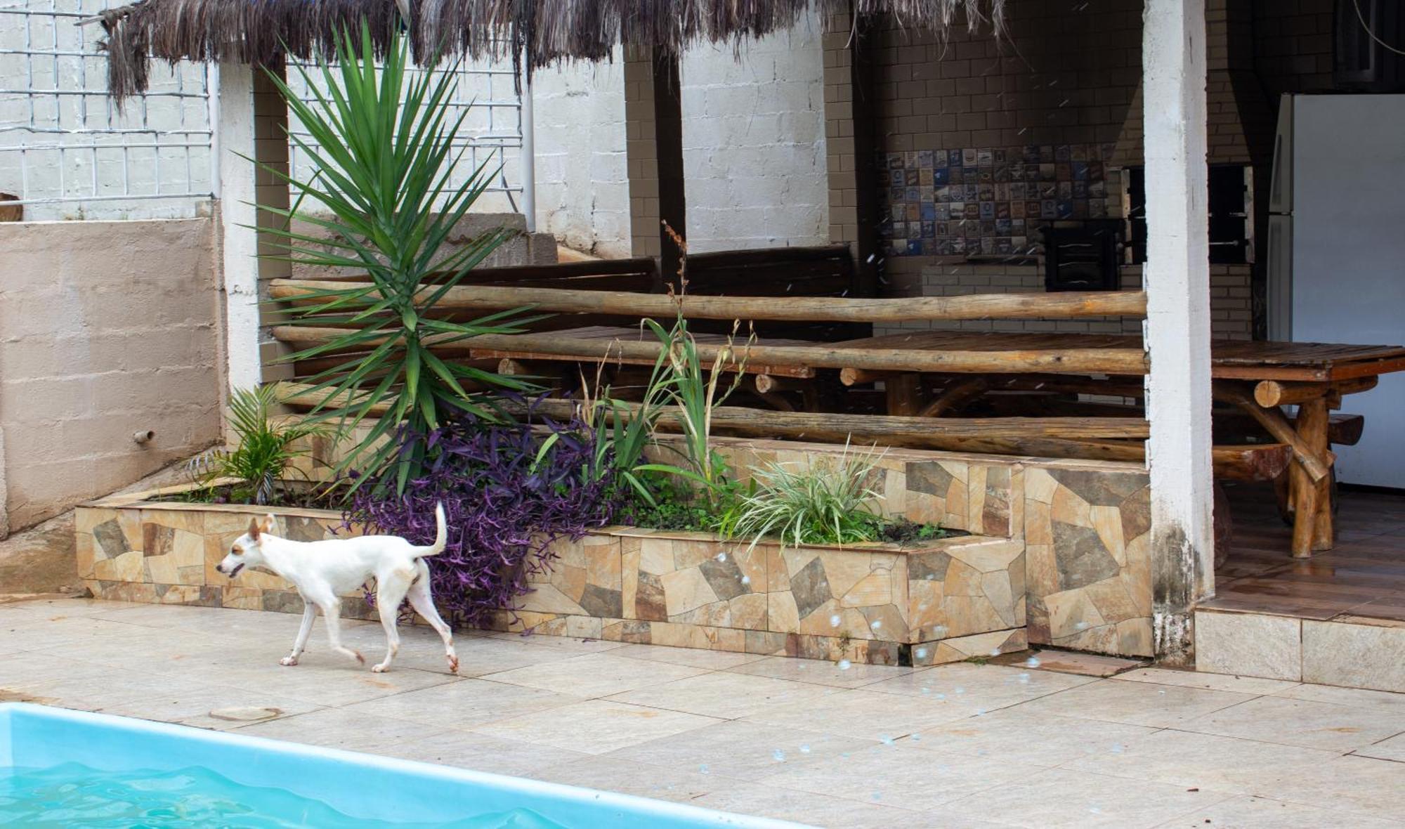 Chacara Familia Buscape Oliveira Villa Aracariguama Exterior foto